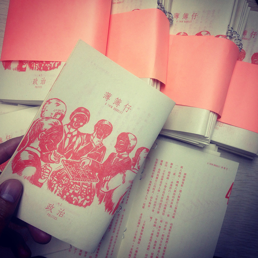 A Thin Booklet #2 Politics